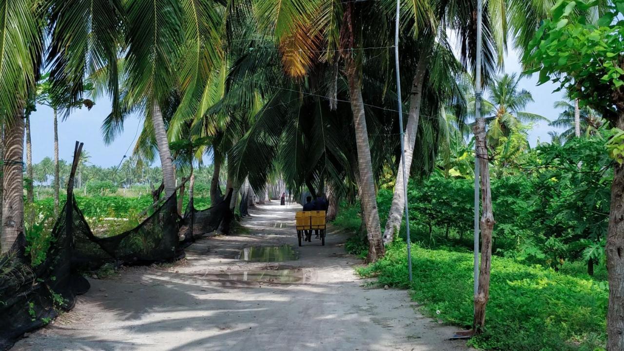 Muraka Inn Thoddoo Exterior photo